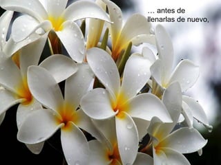 … antes de
llenarlas de nuevo,
 