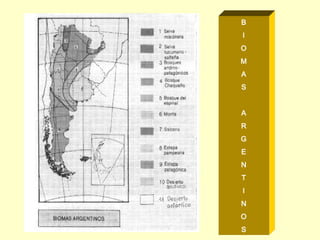 B
I
O
M
A
S


A
R
G
E
N
T
I
N
O
S
 