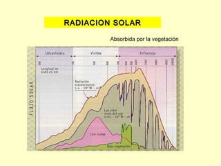 RADIACION SOLAR

         Absorbida por la vegetación
 