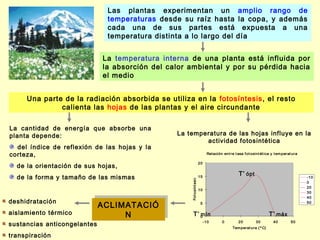 Las plantas experimentan un amplio rango de
                              temperaturas desde su raíz hasta la copa, y además
                              cada una de sus partes está expuesta a una
                              temperatura distinta a lo largo del día


                             La temperatura interna de una planta está influida por
                             la absorción del calor ambiental y por su pérdida hacia
                             el medio


     Una parte de la radiación absorbida se utiliza en la fotosíntesis, el resto
              calienta las hojas de las plantas y el aire circundante

La cantidad de energía que absorbe una
planta depende:                                 La temperatura de las hojas influye en la
                                                        actividad fotosintética
  del índice de reflexión de las hojas y la
corteza,                                                                    Relación ent re t asa f ot osint ét ica y t em per at ura

                                                                      20
  de la orientación de sus hojas,
                                                                                                T º ópt
  de la forma y tamaño de las mismas                                  15                                                                -10



                                                    Fot osínt esi s
                                                                                                                                        0
                                                                                                                                        20
                                                                      10
                                                                                                                                        30
                                                                                                                                        40
deshidratación               ACLIMATACIÓ
                             ACLIMATACIÓ                               5                                                                50


aislamiento térmico               N
                                  N                     Tº 0
                                                           mín                                                     T º máx
                                                                           -10       0         20         30         40         50
sustancias anticongelantes                                                                  Tem perat ura ( º C)

transpiración
 