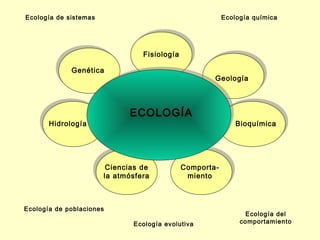 Ecología de sistemas                                      Ecología química




                                 Fisiología

             Genética
                                                      Geología




                             ECOLOGÍA
       Hidrología                                             Bioquímica




                        Ciencias de           Comporta-
                       la atmósfera            miento



Ecología de poblaciones
                                                                 Ecología del
                              Ecología evolutiva               comportamiento
 