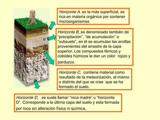 Horizonte A, es la más superficial, es
                       rica en materia orgánica por contener
                       microorganismos

                      Horizonte B, es denominado también de
                      “precipitación”, “de acumulación” o
                      “subsuelo”, en él se acumulan las arcillas
                      provenientes del arrastre de la capa
                      superior. Los compuestos férricos y
                      coloides húmicos le dan un color rojizo y
                      parduzco.

                       Horizonte C, contiene material como
                       resultado de la meteorización, el mismo
                       o distinto del que se cree que se ha
                       formado el suelo.

Horizonte D, se suele llamar “roca madre” u “horizonte
D”. Corresponde a la última capa del suelo y esta formada
por roca sin alteración física ni química.
 