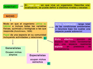 HABITAT           El lugar real en que vive un organismo. Describe una
 HABITAT           localización, se puede definir a distintos niveles y escalas


  NICHO
  NICHO


Modo en que el organismo utiliza su            Nicho fundamental: rango total
hábitat e incluye todas las variables          de las condiciones ambientales
físicas, químicas y biológicas a las que       y recursos bajo los cuales una
responde .(Hutchinson, 1958)                   especie puede sobrevivir
Papel de una especie en su comunidad
incluyendo actividades y relaciones.
                                              Nicho   efectivo:    porción   de
                                              espacio del nicho fundamental
                                              que   una   especie     realmente
                                              explota   en      presencia    de
 Generalistas                                 competidores
  Ocupan nichos
    amplios             Especialistas
                         ocupan nichos
                           estrechos
 