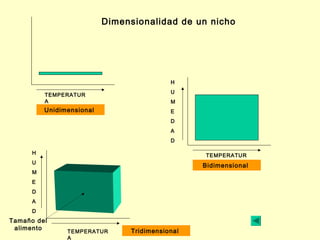 Dimensionalidad de un nicho




                                           H
                                           U
          TEMPERATUR
          A                                M
          Unidimensional                   E
                                           D
                                           A
                                           D

      H                                          TEMPERATUR
      U                                          A
                                                 Bidimensional
      M
      E
      D
      A
      D
Tamaño del
 alimento                       Tridimensional
                TEMPERATUR
                A
 