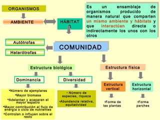 Es
                                                  Es       un
                                                          un       ensamblaje
                                                                  ensamblaje       de
                                                                                  de
   ORGANISMOS                                      organismos        producido     de
                                                  organismos        producido     de
                                                   manera natural que comparten
                                                  manera natural que comparten
    AMBIENTE                      HÁBITAT         un mismo ambiente yy hábitats yy
                                                   un mismo ambiente       hábitats
                                     S             que
                                                  que      interactúan
                                                          interactúan     directa
                                                                         directa    oo
                                                   indirectamente los unos con los
                                                  indirectamente los unos con los
                                                   otros
                                                  otros
      Autótrofas
                                  COMUNIDAD
                                  COMUNIDAD
    Heterótrofas


                 Estructura biológica                      Estructura física


        Dominancia                  Diversidad
                                                          Estructura     Estructura
   Número de ejemplares                                   vertical      horizontal
                                     • Número de
      Mayor biomasa               especies, riqueza
  Adelantan y acaparan el
        mayor espacio             •Abundancia relativa,    •Forma de       •Forma
                                     equitatividad        las plantas      parches
Mayor contribución al flujo de
 energía o ciclo de nutrientes
Controlan o influyen sobre el
             resto
 