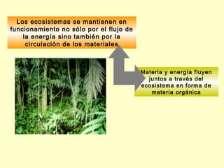 Los ecosistemas se mantienen en
funcionamiento no sólo por el flujo de
    la energía sino también por la
     circulación de los materiales



                                         Materia y energía fluyen
                                           juntos a través del
                                         ecosistema en forma de
                                            materia orgánica
 