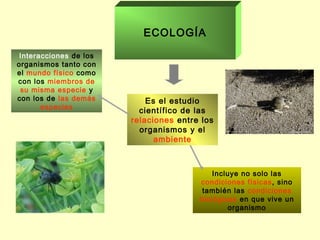 ECOLOGÍA

 Interacciones de los
organismos tanto con
el mundo físico como
con los miembros de
 su misma especie y
con los de las demás        Es el estudio
       especies
                          científico de las
                        relaciones entre los
                          organismos y el
                              ambiente



                                            Incluye no solo las
                                        condiciones físicas, sino
                                         también las condiciones
                                        biológicas en que vive un
                                                organismo
 