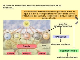En todos los ecosistemas existe un movimiento continuo de los
materiales...

                      Los diferentes elementos químicos pasan del suelo, el
                     agua o el aire a los organismos y de unos seres vivos a
                    otros, hasta que vuelven, cerrándose el ciclo, al suelo o al
                                          agua o al aire. 


                                                          CICLOS
                                                      BIOGEOQUÍMICOS




                                                        GASEOSOS



                                                   atmósfera – océanos
                    Energía

                                                             SEDIMENTARIOS
    Energía          Energía          Energía

                                                          suelo-rocas-minerales
 