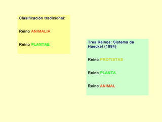 Clasificación tradicional:


Reino ANIMALIA

                             Tres Reinos: Sistema de
Reino PLANTAE
                             Haeckel (1894)


                             Reino PROTISTAS


                             Reino PLANTA


                             Reino ANIMAL
 