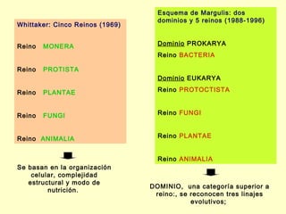 Esquema de Margulis: dos
                                   dominios y 5 reinos (1988-1996)
Whittaker: Cinco Reinos (1969)


Reino   MONERA                     Dominio PROKARYA
                                   Reino BACTERIA

Reino   PROTISTA
                                   Dominio EUKARYA

Reino   PLANTAE                    Reino PROTOCTISTA



Reino   FUNGI                      Reino FUNGI



Reino ANIMALIA                     Reino PLANTAE


                                   Reino ANIMALIA
Se basan en la organización
    celular, complejidad
   estructural y modo de
                                 DOMINIO, una categoría superior a
         nutrición.
                                  reino:, se reconocen tres linajes
                                             evolutivos;
 