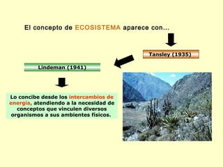 El concepto de ECOSISTEMA aparece con…



                                        Tansley (1935)

          Lindeman (1941)




Lo concibe desde los intercambios de
energía, atendiendo a la necesidad de
   conceptos que vinculen diversos
 organismos a sus ambientes físicos.
 
