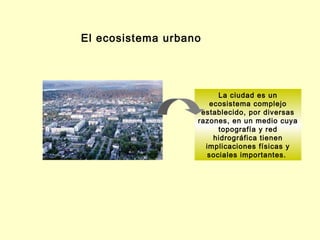 El ecosistema urbano




                         La ciudad es un
                      ecosistema complejo
                    establecido, por diversas
                   razones, en un medio cuya
                         topografía y red
                       hidrográfica tienen
                     implicaciones físicas y
                      sociales importantes.
 