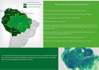 • A Amazônia representa mais da metade das florestas tropicais do planeta
• Durante os últimos 40 anos, pelo menos 20% da Floresta Amazônica foi derrubada
• A Floresta Amazônica existe há pelo menos 55 milhões de anos
• Não há pontes sobre o rio Amazonas
•Enquanto a maior parte da Floresta Amazônica se situa no Brasil (60%), ela também está no
Peru (13%), Colômbia (10%) e áreas menores na Venezuela, Equador, Bolívia, Guiana, Suriname
e Guiana Francesa
•Um estudo de 1999 mostrou que cada quilômetro quadrado da floresta amazônica pode
conter cerca de 90 mil toneladas de plantas vivas
• Amazônia perdeu 128 campos de futebol por hora entre 2015 e 2016.
Alguns fatos sobre a floresta amazônica.
• Sob risco: mudanças climáticas podem transformar parte da Amazônia em savana
• Um estudo internacional realizado ao longo de oito anos na Amazônia identificou
que a floresta é severamente afetada por queimadas em anos de seca, que podem
causar uma degradação permanente no bioma.
 