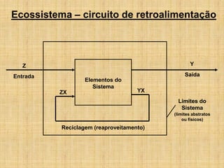 Ecossistema – circuito de retroalimentação
Limites do
Sistema
(limites abstratos
ou físicos)
Z
Entrada
Elementos do
Sistema
Y
Saída
Reciclagem (reaproveitamento)
YX
ZX
 