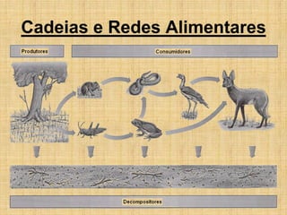Cadeias e Redes Alimentares
 