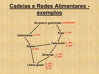 Cadeias e Redes Alimentares -
exemplos
Árvores e gramíneas
Preá
Gafanhotos
Sapos
Cascavéis
Siriemas
Lobos guará
produtores
C. 1ário
C. 1ário
C. 2ário
C. 2ário
C. 3ário
C. 3ário
C. 3ário
C. 4ário
C. 5o
C. 4ário
 