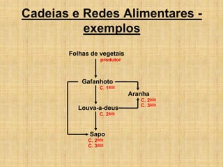 Cadeias e Redes Alimentares -
exemplos
Folhas de vegetais
Gafanhoto
Louva-a-deus
Sapo
Aranha
produtor
C. 1ário
C. 2ário
C. 2ário
C. 2ário
C. 3ário
C. 3ário
 