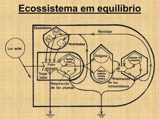 Ecossistema em equilíbrio
 