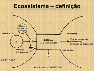 Ecossistema – definição
 