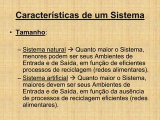 Características de um Sistema
• Tamanho:
– Sistema natural  Quanto maior o Sistema,
menores podem ser seus Ambientes de
Entrada e de Saída, em função de eficientes
processos de reciclagem (redes alimentares).
– Sistema artificial  Quanto maior o Sistema,
maiores devem ser seus Ambientes de
Entrada e de Saída, em função da ausência
de processos de reciclagem eficientes (redes
alimentares).
 