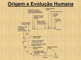 Origem e Evolução Humana
 