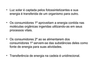 • Luz solar é captada pelos fotossintetizantes e sua
energia é transferida de um organismo para outro.
• Os consumidores 1º aproveitam a energia contida nas
moléculas orgânicas ingeridas utilizando-as em seus
processos vitais.
• Os consumidores 2º ao se alimentarem dos
consumidores 1º servem-se das substâncias deles como
fonte de energia para suas atividades.
• Transferência de energia na cadeia é unidirecional.
 
