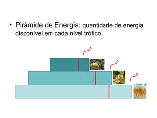 • Pirâmide de Energia: quantidade de energia
disponível em cada nível trófico.
 