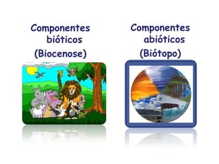Componentes
bióticos
(Biocenose)
Componentes
abióticos
(Biótopo)
 