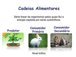 Cadeias Alimentares
Produtor
Consumidor
Primário
Consumidor
Secundário
Série linear de organismos pelos quais flui a
energia captada por seres autotróficos.
Nível trófico
 