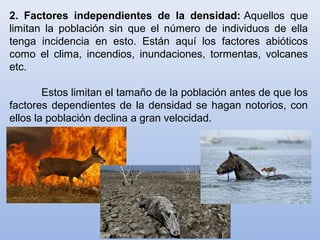2. Factores independientes de la densidad: Aquellos que
limitan la población sin que el número de individuos de ella
tenga incidencia en esto. Están aquí los factores abióticos
como el clima, incendios, inundaciones, tormentas, volcanes
etc.
Estos limitan el tamaño de la población antes de que los
factores dependientes de la densidad se hagan notorios, con
ellos la población declina a gran velocidad.
 