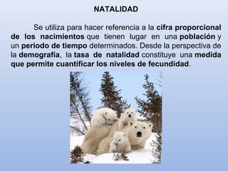 NATALIDAD
Se utiliza para hacer referencia a la cifra proporcional
de los nacimientos que tienen lugar en una población y
un periodo de tiempo determinados. Desde la perspectiva de
la demografía, la tasa de natalidad constituye una medida
que permite cuantificar los niveles de fecundidad.
 