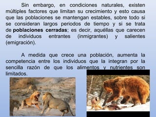Sin embargo, en condiciones naturales, existen
múltiples factores que limitan su crecimiento y esto causa
que las poblaciones se mantengan estables, sobre todo si
se consideran largos periodos de tiempo y si se trata
de poblaciones cerradas; es decir, aquéllas que carecen
de individuos entrantes (inmigrantes) y salientes
(emigración).
A medida que crece una población, aumenta la
competencia entre los individuos que la integran por la
sencilla razón de que los alimentos y nutrientes son
limitados.
 