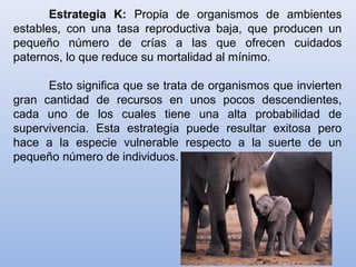 Estrategia K: Propia de organismos de ambientes
estables, con una tasa reproductiva baja, que producen un
pequeño número de crías a las que ofrecen cuidados
paternos, lo que reduce su mortalidad al mínimo.
Esto significa que se trata de organismos que invierten
gran cantidad de recursos en unos pocos descendientes,
cada uno de los cuales tiene una alta probabilidad de
supervivencia. Esta estrategia puede resultar exitosa pero
hace a la especie vulnerable respecto a la suerte de un
pequeño número de individuos.
 