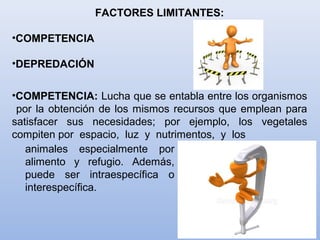 FACTORES LIMITANTES:
•COMPETENCIA
•DEPREDACIÓN
•COMPETENCIA: Lucha que se entabla entre los organismos
por la obtención de los mismos recursos que emplean para
satisfacer sus necesidades; por ejemplo, los vegetales
compiten por espacio, luz y nutrimentos, y los
animales especialmente por
alimento y refugio. Además,
puede ser intraespecífica o
interespecífica.
 