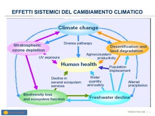EFFETTI SISTEMICI DEL CAMBIAMENTO CLIMATICO 