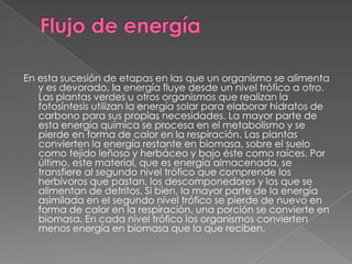 Flujo de energíaEn esta sucesión de etapas en las que un organismo se alimenta y es devorado, la energía fluye desde un nivel trófico a otro. Las plantas verdes u otros organismos que realizan la fotosíntesis utilizan la energía solar para elaborar hidratos de carbono para sus propias necesidades. La mayor parte de esta energía química se procesa en el metabolismo y se pierde en forma de calor en la respiración. Las plantas convierten la energía restante en biomasa, sobre el suelo como tejido leñoso y herbáceo y bajo éste como raíces. Por último, este material, que es energía almacenada, se transfiere al segundo nivel trófico que comprende los herbívoros que pastan, los descomponedores y los que se alimentan de detritos. Si bien, la mayor parte de la energía asimilada en el segundo nivel trófico se pierde de nuevo en forma de calor en la respiración, una porción se convierte en biomasa. En cada nivel trófico los organismos convierten menos energía en biomasa que la que reciben. 