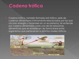 Cadena tróficaCadena trófica, también llamada red trófica, serie de cadenas alimentarias íntimamente relacionadas por las que circulan energía y materiales en un ecosistema. Se entiende por cadena alimentaria cada una de las relaciones alimenticias que se establecen de forma lineal entre organismos que pertenecen a distintos niveles tróficos. 