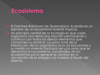 EcosistemaEl DaintreeRainforest de Queensland, Australia es un ejemplo de un ecosistema forestal tropical .Un principio central de la ecología es que cada organismo vivo tiene una relación permanente y continua con todos los demás elementos que componen su entorno. La suma total de la interacción de los organismos vivos (la biocenosis) y su medio no viviente (biotopo) en una zona que se denomina un ecosistema. Los estudios de los ecosistemas por lo general se centran en la circulación de la energía y la materia a través del sistema.