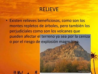 RELIEVE
• Existen relieves beneficiosos, como son los
montes repletos de árboles, pero también los
perjudiciales como son los volcanes que
pueden afectar el terreno ya sea por la ceniza
o por el riesgo de explosión magmática.

 
