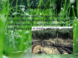 Deforestación
• Es un factor que afecta en gran manera la
tierra porque los árboles y plantas demoran
mucho en volver a crecer y son elementos
importantes para el medio ambiente.

 