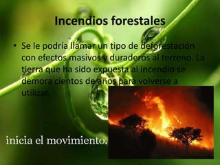 Incendios forestales
• Se le podría llamar un tipo de deforestación
con efectos masivos y duraderos al terreno. La
tierra que ha sido expuesta al incendio se
demora cientos de años para volverse a
utilizar.

 