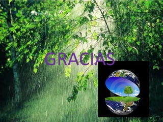 GRACIAS

 