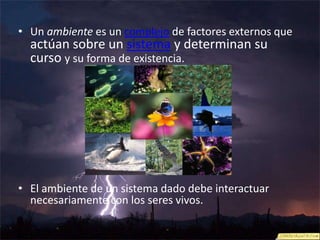 • Un ambiente es un complejo de factores externos que

actúan sobre un sistema y determinan su
curso y su forma de existencia.

• El ambiente de un sistema dado debe interactuar
necesariamente con los seres vivos.

 