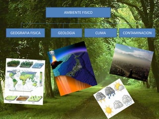 AMBIENTE FISICO

GEOGRAFIA FISICA

GEOLOGIA

CLIMA

CONTAMINACION

 