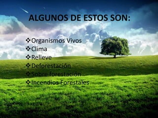 ALGUNOS DE ESTOS SON:
Organismos Vivos
Clima
Relieve
Deforestación
Sobre forestación
Incendios Forestales

 