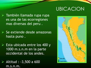 selva alta y selva baja | PPTX