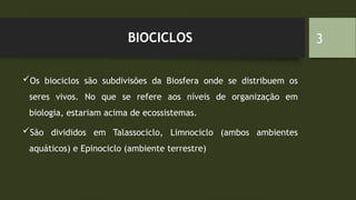 AULA DE ECOLOGIA - OS ECOSSISTEMAS 2.pptx