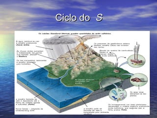 Ciclo doCiclo do SS
 
