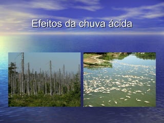 Efeitos da chuva ácidaEfeitos da chuva ácida
 