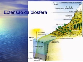 Extensão da biosfera
 